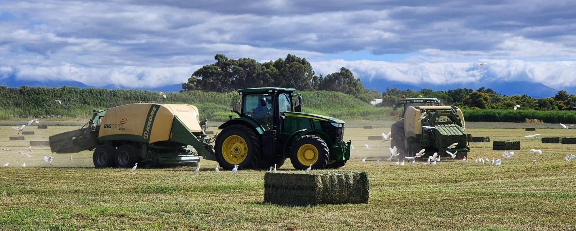 Vakantieboerderij De Zeekoe Guest Farm Oudtshoorn