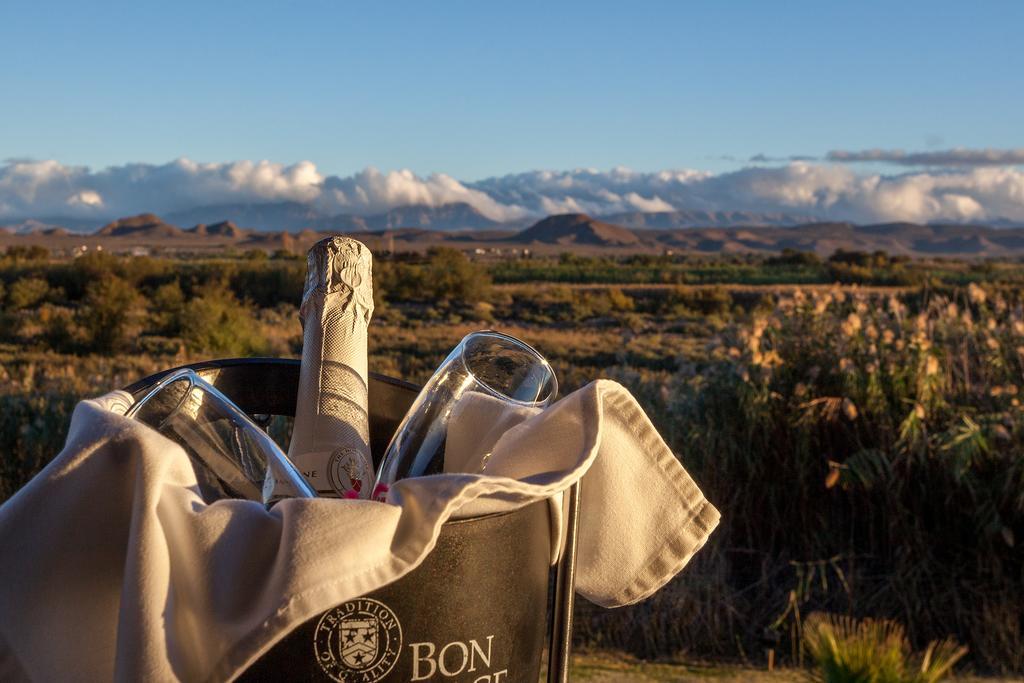 Vakantieboerderij De Zeekoe Guest Farm Oudtshoorn
