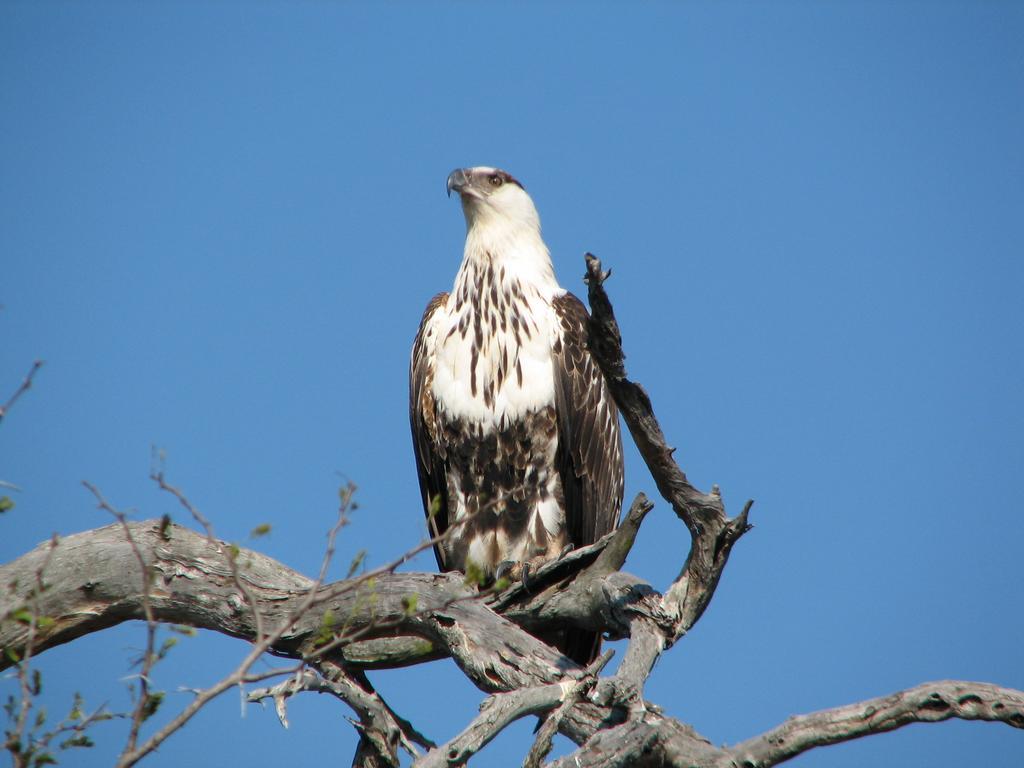 Vakantieboerderij De Zeekoe Guest Farm Oudtshoorn