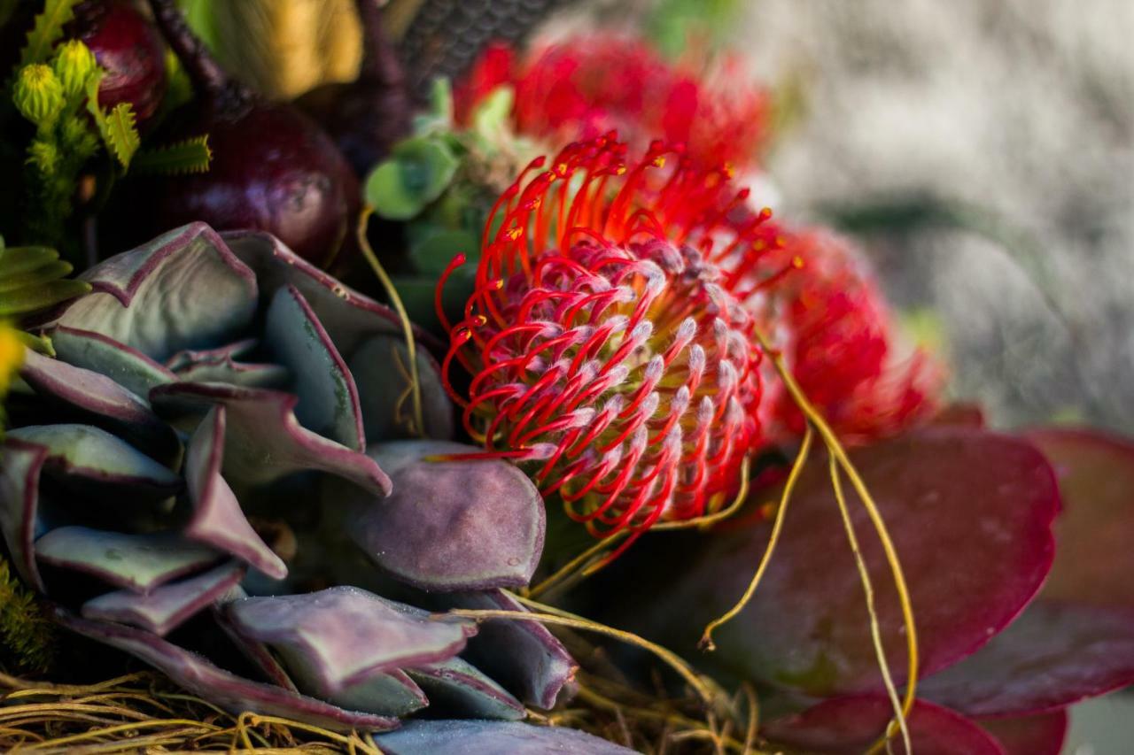 De Zeekoe Guest Farm Oudtshoorn